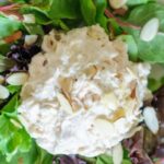 Jasons Deli Chicken Salad with Almonds and Pineapple 